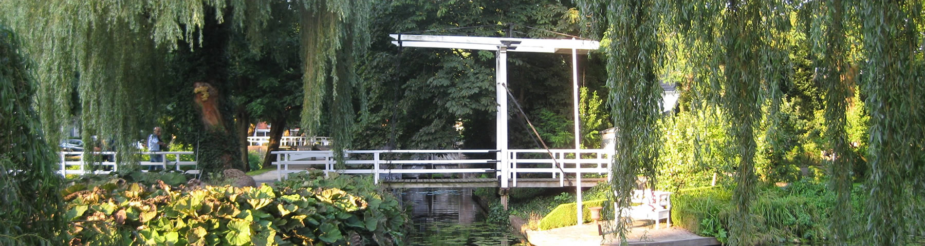 1800x480-IMG_0942